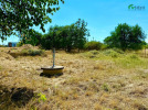 Prodej stavebního pozemku 1 000 m² – Studenec
